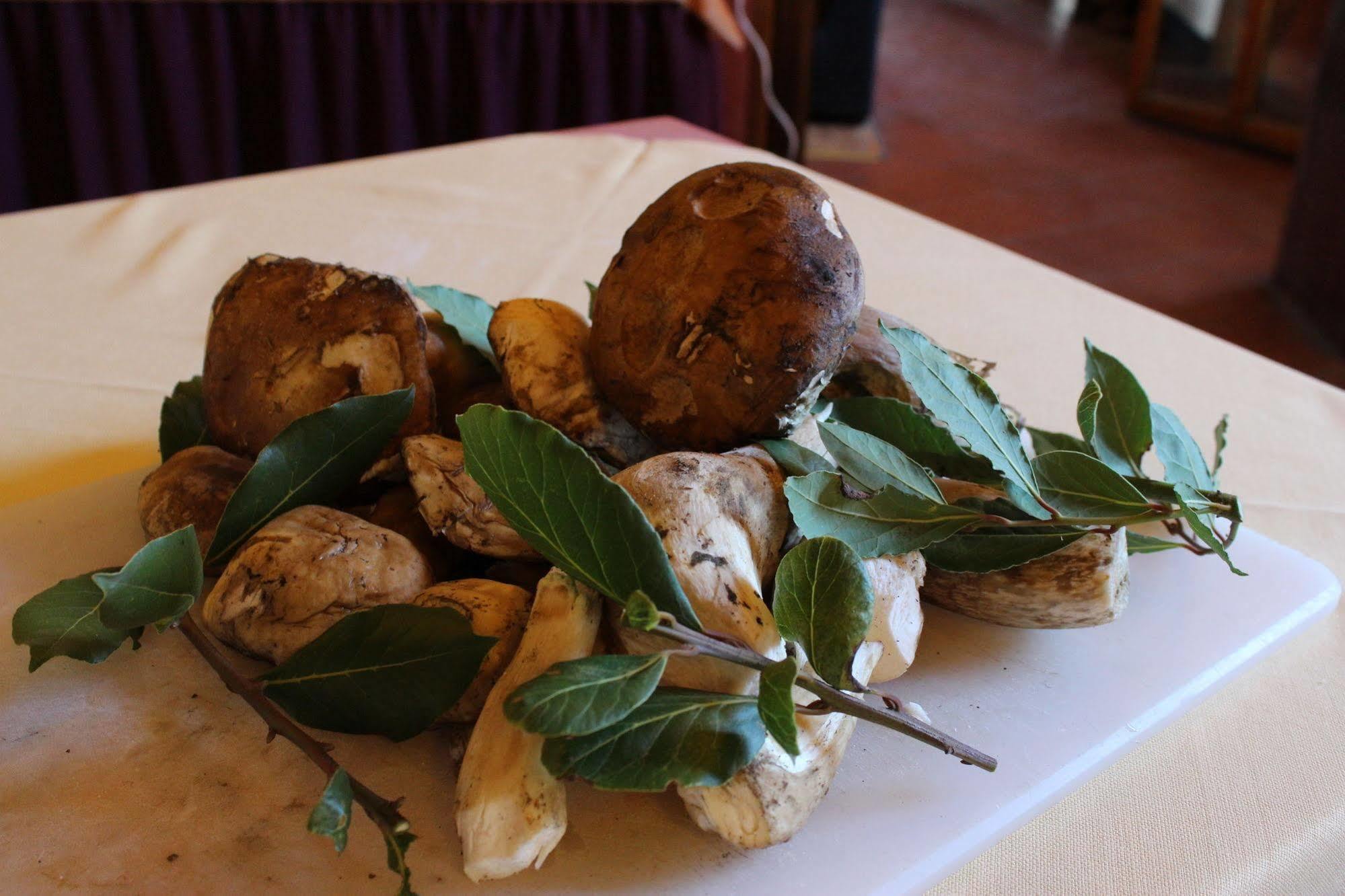 Albergo La Pieve Castelfiorentino Exterior photo